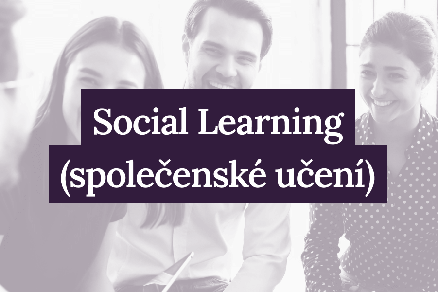 Social Learning (společenské učení)